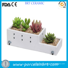 Fascinante edificio griego Jardin de cerámica Succulent Planter